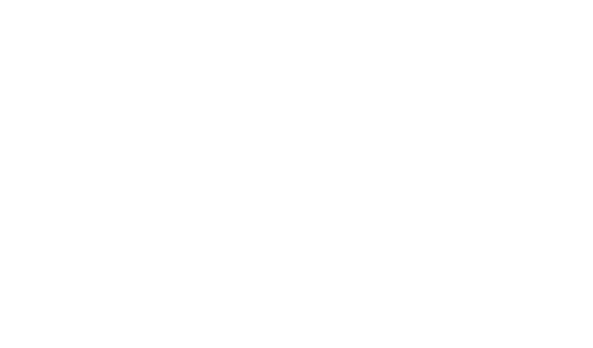 TECHNOBULL